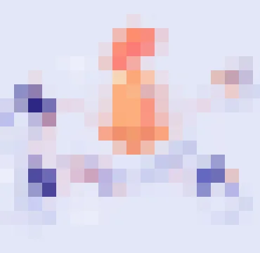 FIFA世界杯